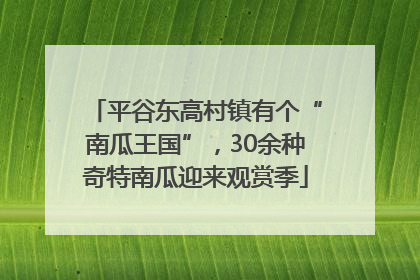 平谷东高村镇有个“南瓜王国”，30余种奇特南瓜迎来观赏季