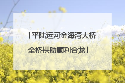 平陆运河金海湾大桥全桥拱肋顺利合龙