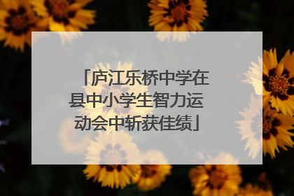 庐江乐桥中学在县中小学生智力运动会中斩获佳绩
