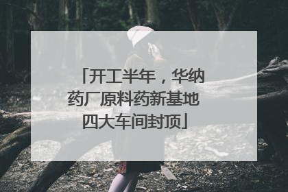 开工半年，华纳药厂原料药新基地四大车间封顶