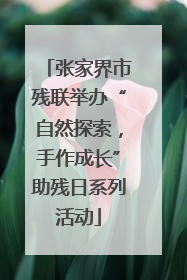 张家界市残联举办“自然探索，手作成长”助残日系列活动
