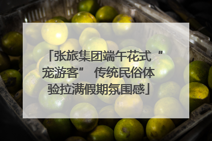 张旅集团端午花式“宠游客” 传统民俗体验拉满假期氛围感