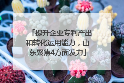 提升企业专利产出和转化运用能力，山东聚焦4方面发力