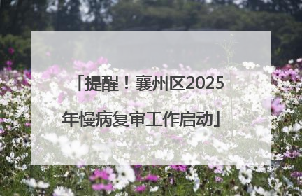 提醒！襄州区2025年慢病复审工作启动