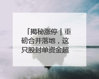 揭秘涨停｜重磅合并落地，这只股封单资金超30亿元