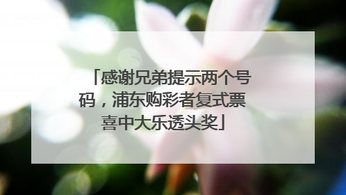 感谢兄弟提示两个号码，浦东购彩者复式票喜中大乐透头奖