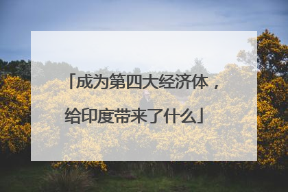 成为第四大经济体，给印度带来了什么