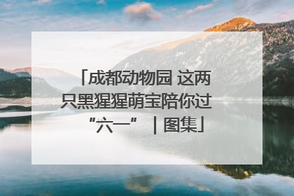 成都动物园 这两只黑猩猩萌宝陪你过“六一”｜图集