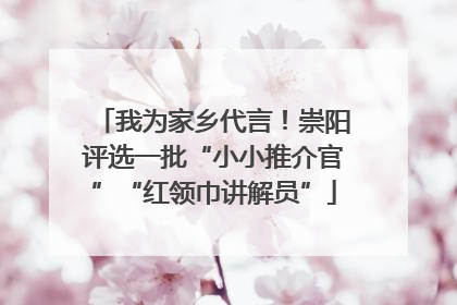 我为家乡代言！崇阳评选一批“小小推介官”“红领巾讲解员”