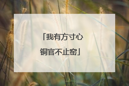 我有方寸心 铜官不止窑