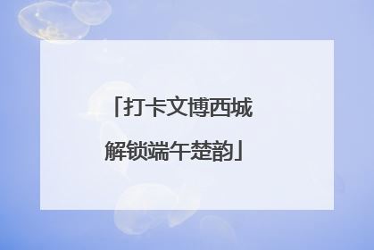 打卡文博西城 解锁端午楚韵