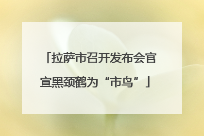 拉萨市召开发布会官宣黑颈鹤为“市鸟”