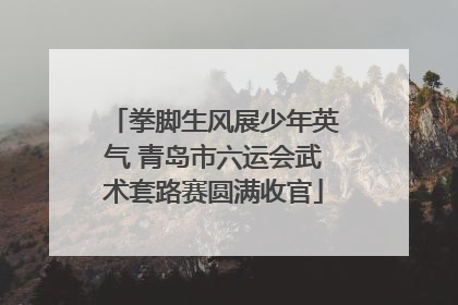拳脚生风展少年英气 青岛市六运会武术套路赛圆满收官