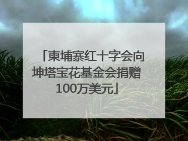 柬埔寨红十字会向坤塔宝花基金会捐赠100万美元