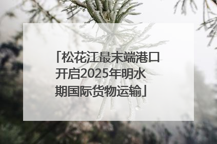松花江最末端港口开启2025年明水期国际货物运输
