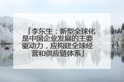 李东生：新型全球化是中国企业发展的主要驱动力，应构建全球经营和供应链体系