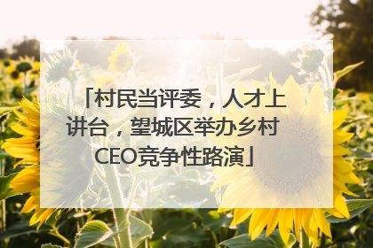 村民当评委，人才上讲台，望城区举办乡村CEO竞争性路演