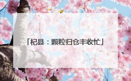 杞县：颗粒归仓丰收忙