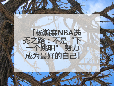 杨瀚森NBA选秀之路：不是“下一个姚明” 努力成为最好的自己