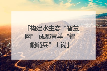 构建水生态“智慧网” 成都青羊“智能哨兵”上岗