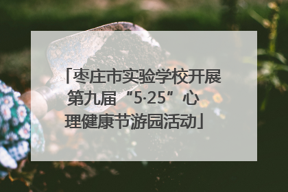 枣庄市实验学校开展第九届“5·25”心理健康节游园活动