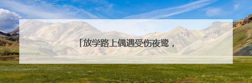 放学路上偶遇受伤夜鹭，聊城三名小学生求助民警