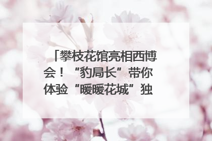 攀枝花馆亮相西博会！“豹局长”带你体验“暖暖花城”独特魅力｜西博视界