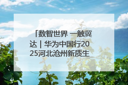 数智世界 一触冀达｜华为中国行2025河北沧州新质生产力峰会成功举办