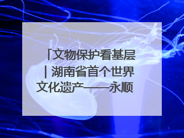 文物保护看基层｜湖南省首个世界文化遗产——永顺老司城遗址