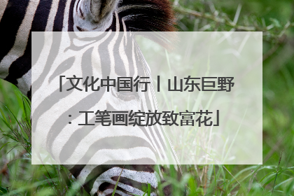 文化中国行丨山东巨野：工笔画绽放致富花