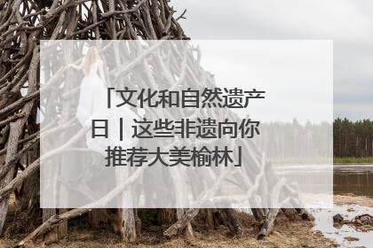 文化和自然遗产日｜这些非遗向你推荐大美榆林