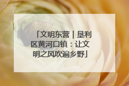 文明东营｜垦利区黄河口镇：让文明之风吹遍乡野