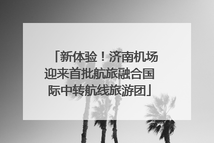 新体验！济南机场迎来首批航旅融合国际中转航线旅游团
