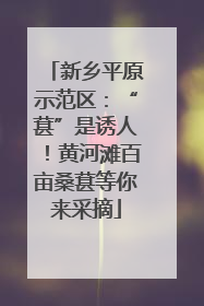 新乡平原示范区：“葚”是诱人！黄河滩百亩桑葚等你来采摘