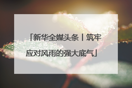 新华全媒头条丨筑牢应对风雨的强大底气