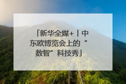 新华全媒+丨中东欧博览会上的“数智”科技秀