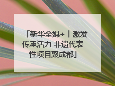 新华全媒+丨激发传承活力 非遗代表性项目聚成都
