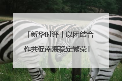 新华时评丨以团结合作共促南海稳定繁荣