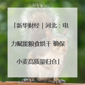 新华财经｜河北：电力赋能粮食烘干 确保小麦高质量归仓