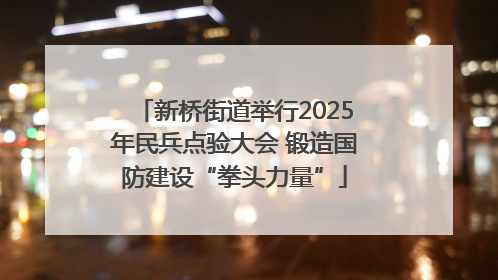 新桥街道举行2025年民兵点验大会 锻造国防建设“拳头力量”