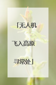 无人机飞入高原寻常处
