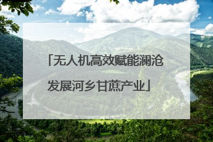 无人机高效赋能澜沧发展河乡甘蔗产业