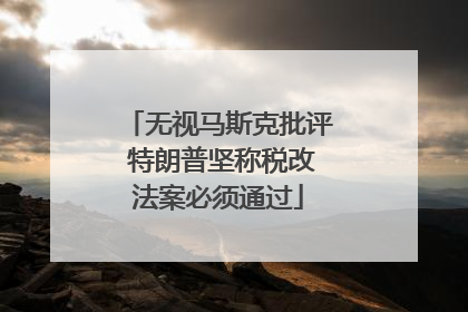 无视马斯克批评 特朗普坚称税改法案必须通过