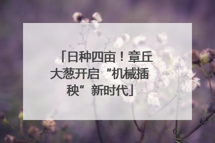日种四亩！章丘大葱开启“机械插秧”新时代