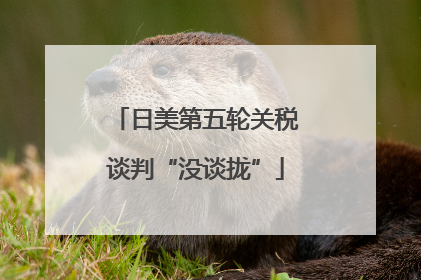 日美第五轮关税谈判“没谈拢”