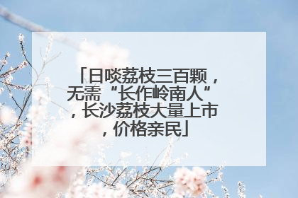 日啖荔枝三百颗，无需“长作岭南人”，长沙荔枝大量上市，价格亲民