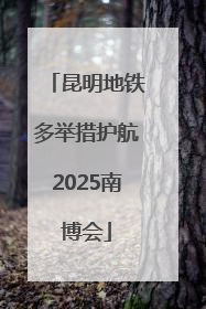 昆明地铁多举措护航2025南博会