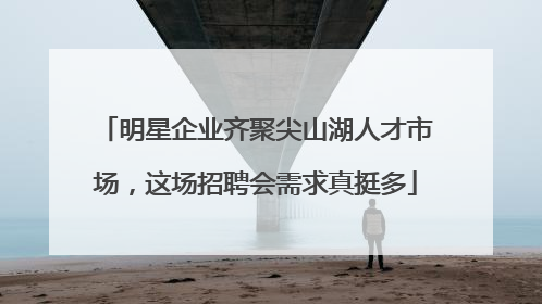 明星企业齐聚尖山湖人才市场，这场招聘会需求真挺多