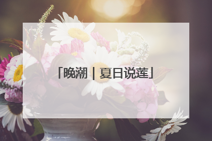 晚潮｜夏日说莲