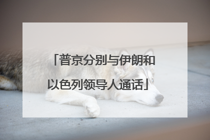 普京分别与伊朗和以色列领导人通话